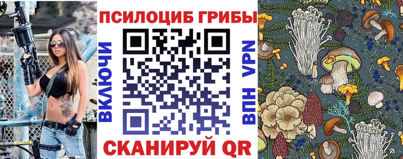 Псилоцибиновые грибы Psilocybe Губаха